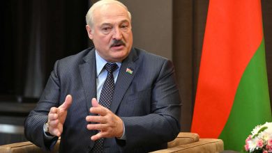 Фото - Президент Белоруссии Лукашенко возмутился наценками на белорусские яблоки и свеклу в 300%