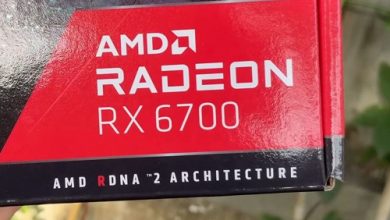 Фото - Radeon RX 6700 намного лучше GeForce RTX 3060 Ti, как утверждает сама AMD