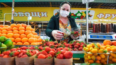 Фото - Ритейлеры попросили Минсельхоз обнулить пошлины на некоторые импортные овощи и фрукты