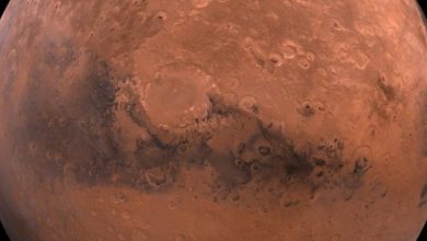Фото - Ученые рассказали, как жизнь на Марсе могла разрушить планету и погибнуть