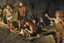 Фото - Ученые рассказали какой пищей питались неандертальцы