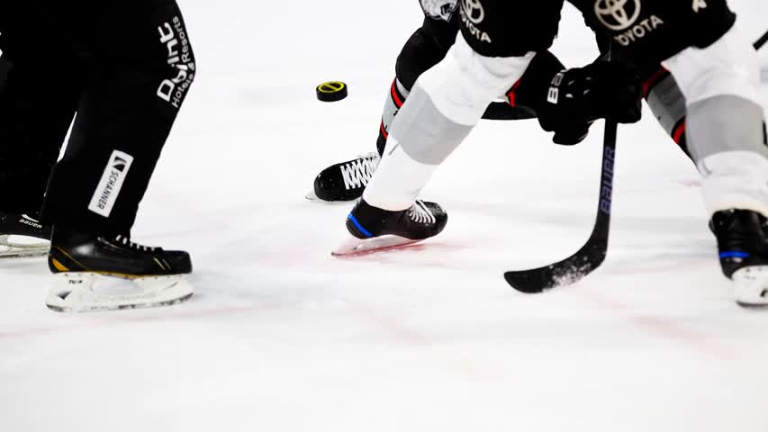 Фото - В Чехии оценили возможный недопуск россиян на матч НХЛ в Праге