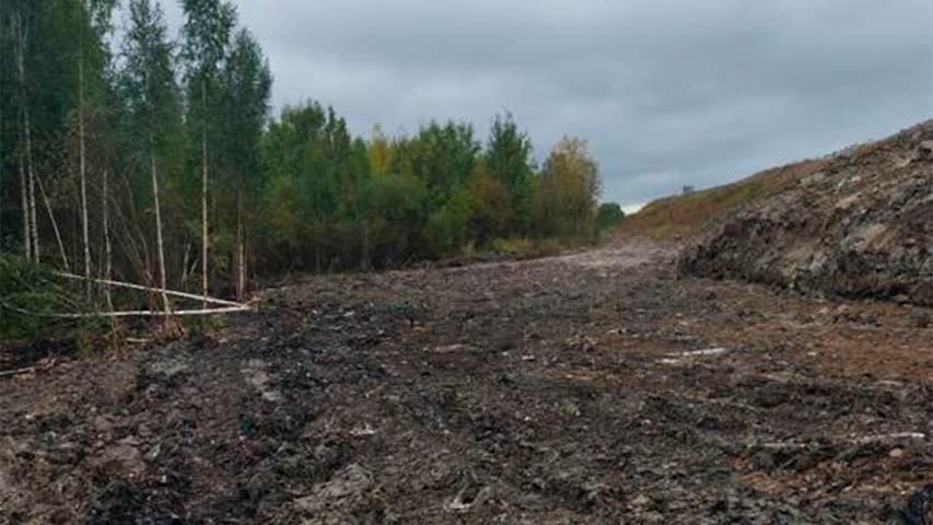 Фото - В Ленинградской области сошла «мусорная лавина»