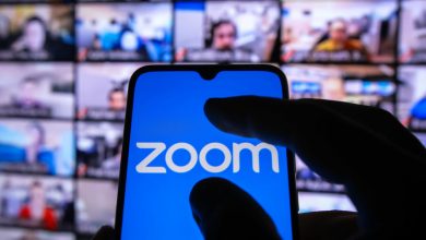 Фото - «Ведомости»: сервис Zoom начал отключать вузам РФ оплаченные лицензии