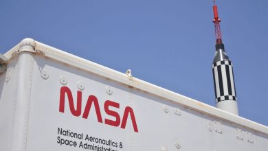 Фото - В NASA заявили, что не сократили число сотрудников в России после рекомендации Госдепа