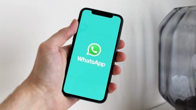 Фото - WhatsApp идет по пути Telegram? В мессенджере появилась премиум-подписка