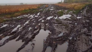 Фото - Женщина не дождалась «скорую» из-за плохой дороги и умерла