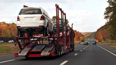 Фото - Автоэксперт Хайцеэр рассказал о проблемах автомобилей, ввезенных по «серой» схеме