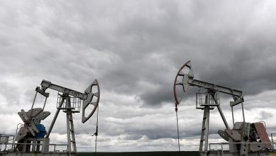 Фото - Болгария договорилась с Россией об экспорте нефти в ЕС в обход санкций