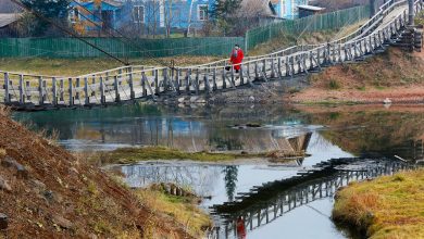 Фото - Экономист Зубаревич: Россия — не совсем такая, какой мы ее представляем в Москве