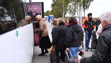 Фото - Эстонский депутат Сависаар заявил, что Таллин не должен принимать призывников с Украины