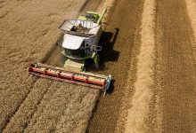Фото - «Известия»: 80% российских аграриев могут не получить субсидии на зерновые