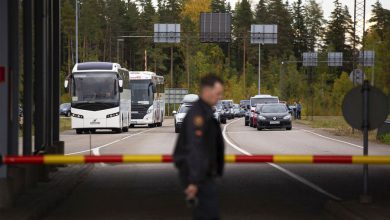 Фото - «Известия»: политики Финляндии предлагают отменить второе гражданство для россиян