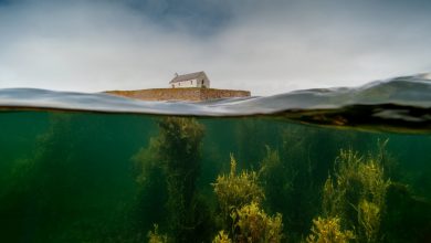 Фото - Landscape Photographer of the Year 2022: лучшие фотографии британских пейзажей