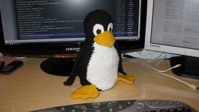 Фото - Минцифры определило три самых популярных российских Linux
