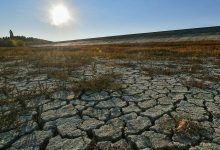 Фото - НИУ ВШЭ: в XIX веке в Поволжье было вдвое больше засух, чем в новейшее время