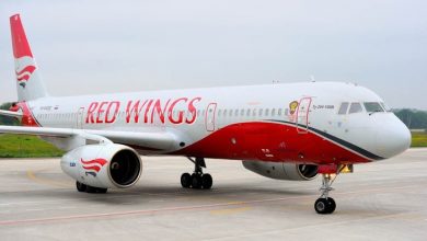 Фото - Red Wings анонсировала запуск рейсов по новым направлениям