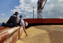 Фото - РИА Новости: решение о продлении зерновой сделки еще не принято