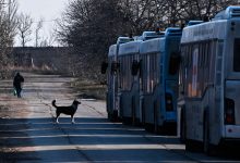 Фото - Рогов: предприятия украинской части Запорожской области попали под санкции ЕС