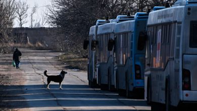 Фото - Рогов: предприятия украинской части Запорожской области попали под санкции ЕС