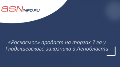 Фото - «Роскосмос» продаст на торгах 7 га у Гладышевского заказника в Ленобласти