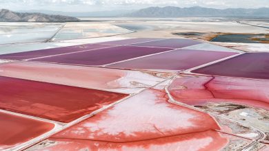 Фото - Соляные озера на фотографиях Тома Хегена