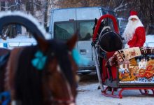 Фото - Страховщики оценили стоимость ОСАГО для саней Деда Мороза