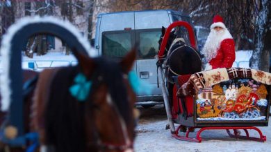 Фото - Страховщики оценили стоимость ОСАГО для саней Деда Мороза