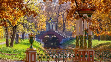 Фото - Турбизнес Санкт-Петербурга посетит города Юга России