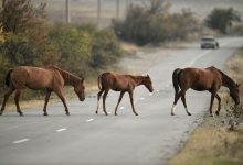 Фото - Ученые нашли новый способ остановить следующую пандемию