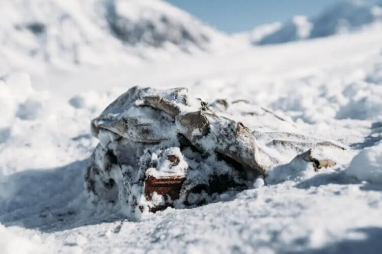 В горах Канады найден «тайник» альпиниста с историческими фотографиями