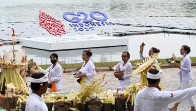 Фото - В Индонезии заявили об отказе Зеленского поехать на G20