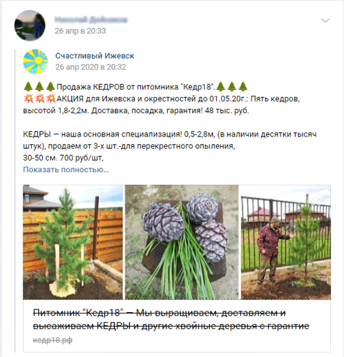 в социальных сетях