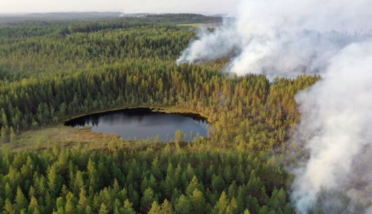 В мире увеличилось количество голодающих людей. С чем это связано?