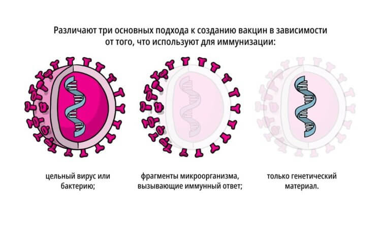 Можно ли защититься от коронавируса на 100%? И что такое назальный спрей против COVID-19?