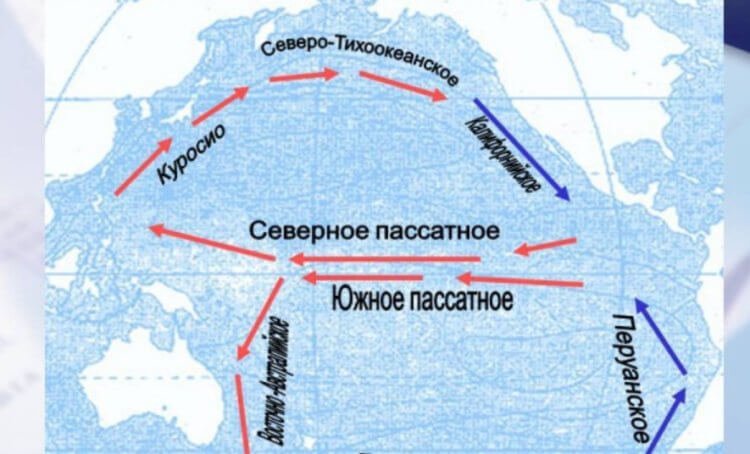 Япония хочет добывать электричество при помощи воды. Как это работает?