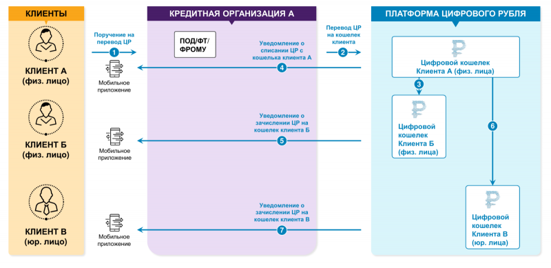  Переводы в цифровых рублях между физическими и/или юридическими лицами производятся на деле внутри платформы, с одного кошелька на другой: организации-посредники нужны лишь для передачи этой платформе заверенных поручений клиентов (источник: Банк России) 