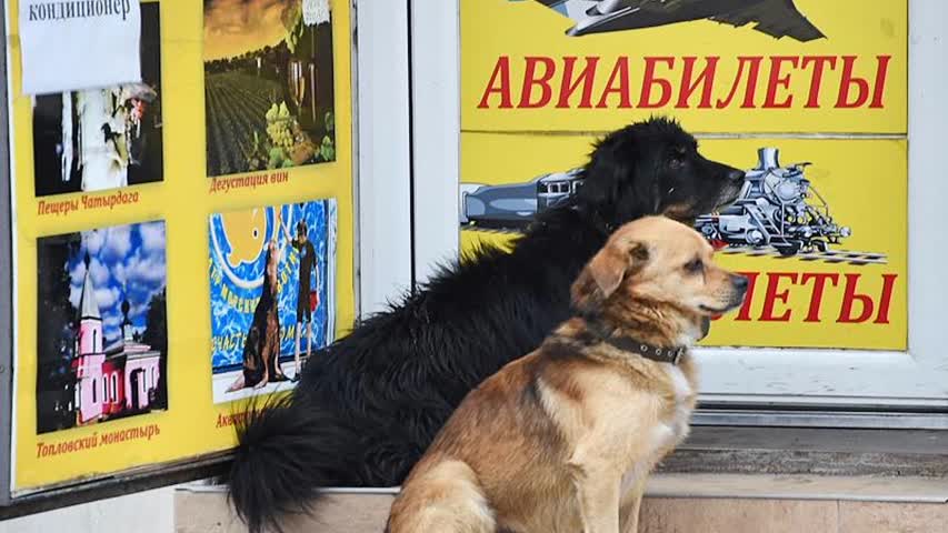 Фото - Раскрыты способы сэкономить на авиабилетах на Новый Год